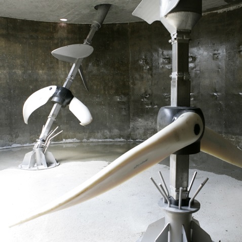 streisal Maischebull and Hydrobull Main