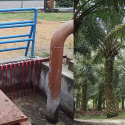 Solmax BioEnergy - Effluent d'huile de palme (POME)