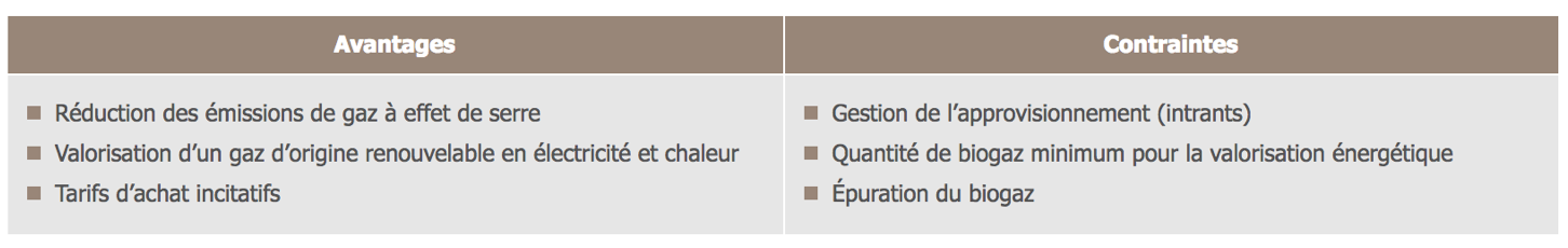 Avantages et contraintes de la cogénération de biogaz