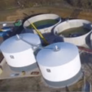 Catalog logos 300×300 (1)