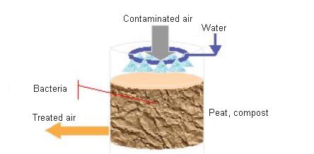 Operating a biofilter to reduce smell in biogas projects and gain Social acceptability for a biogas project