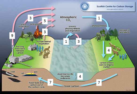 Short carbon cycle of biogas