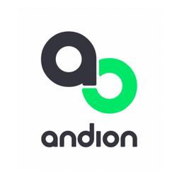 Andion Group