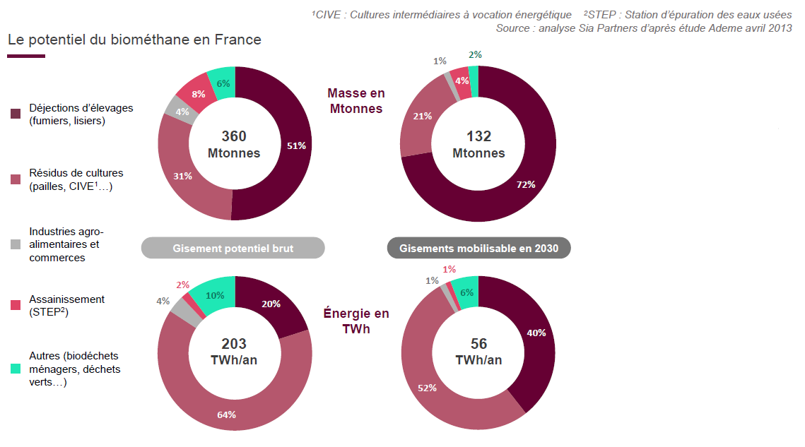 Marché du biogaz et du biométhane en France: Types d'intrants utilisés et potentiel du biométhane