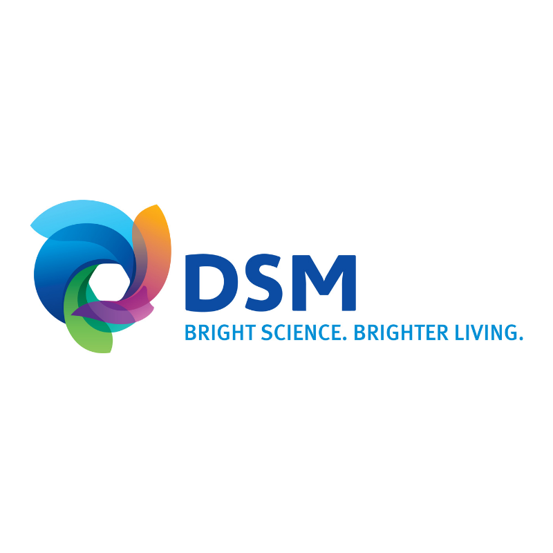 DSM