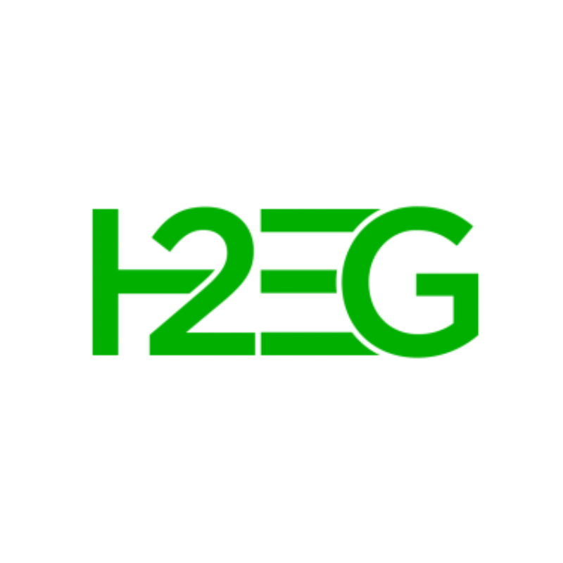 H2 Energy Group Inc