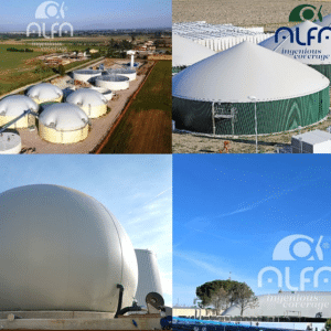 Catalog logos 300×300 (2)